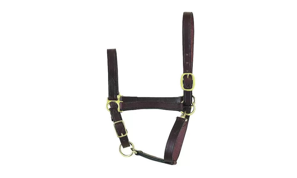 Perris Leather Collection Economy Leather Halter 9 Perris Leather Collection Economy Leather Halter - Image 7