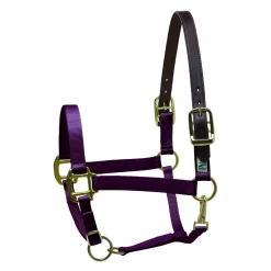 Perris Premium Nylon Safety Halter -Equestrian Supplies Store 5 219022 burgundy
