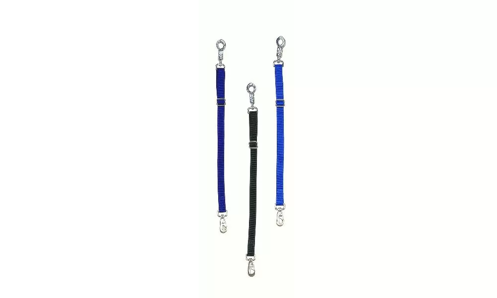 Perris Nylon Trailer Tie 3 Perris Nylon Trailer Tie