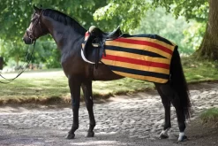 Rambo By Horseware Newmarket Competition Sheet