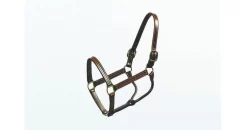 Halter Thoroughbred 1 Inch