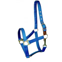 Gatsby Ultra Soft Nylon Safety Halter -Equestrian Supplies Store 5 267375