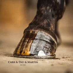 Cornucrescine Tea Tree Hoof Oil By Carr & Day & Martin -Equestrian Supplies Store 5 275701 ac