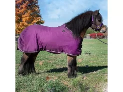 Ozark Mini/Pony Roustabout Blanket 16 Ozark Mini/Pony Roustabout Blanket -Equestrian Supplies Store 5 334396 a