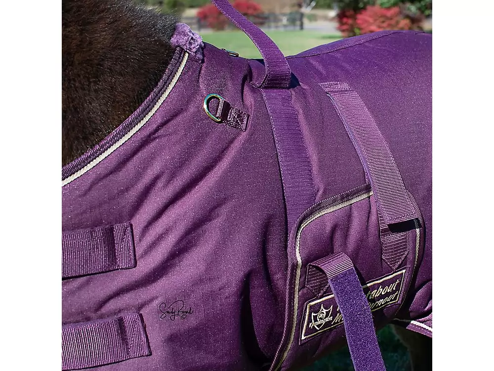 Ozark Mini/Pony Roustabout Blanket 9 Ozark Mini/Pony Roustabout Blanket - Image 7