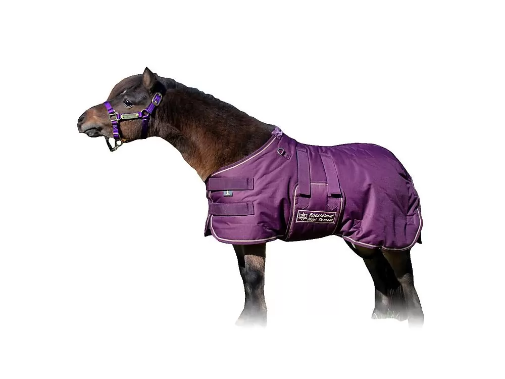 Ozark Mini/Pony Roustabout Blanket 11 Ozark Mini/Pony Roustabout Blanket - Image 9