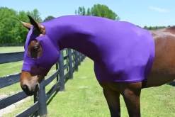 StretchX Pull On Slicker Hood 19 StretchX Pull On Slicker Hood -Equestrian Supplies Store 5 362139