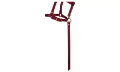 Weaver 5/8" Riveted Halter With Catch Strap -Equestrian Supplies Store 5 406810b