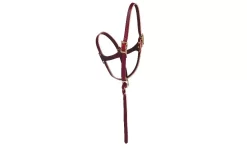 Weaver Figure 8 Foal Halter
