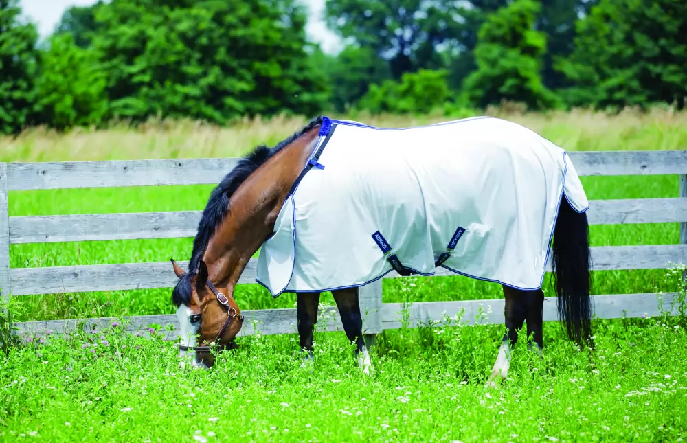 HUGS Abrazo Hug Flysheet 3 HUGS Abrazo Hug Flysheet