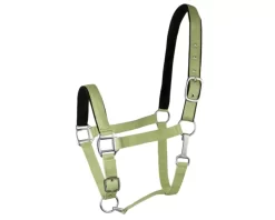Gatsby Suede Padded Nylon Halter -Equestrian Supplies Store 5 423751