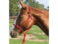 Mustang Easy-On Rope Halter With 8' Lead 7 Mustang Easy-On Rope Halter With 8' Lead -Equestrian Supplies Store 5 426640 b