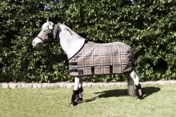 Equestrian Supplies Store -Equestrian Supplies Store 5 447229