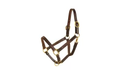 Tory Leather 1" Nylon Halter - Leather Tabs -Equestrian Supplies Store 5 449328