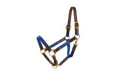Tory Leather 1" Nylon Halter - Leather Tabs -Equestrian Supplies Store 5 449329
