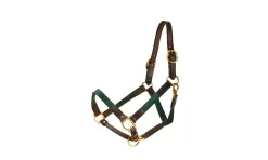 Tory Leather 1" Nylon Halter - Leather Tabs -Equestrian Supplies Store 5 449330