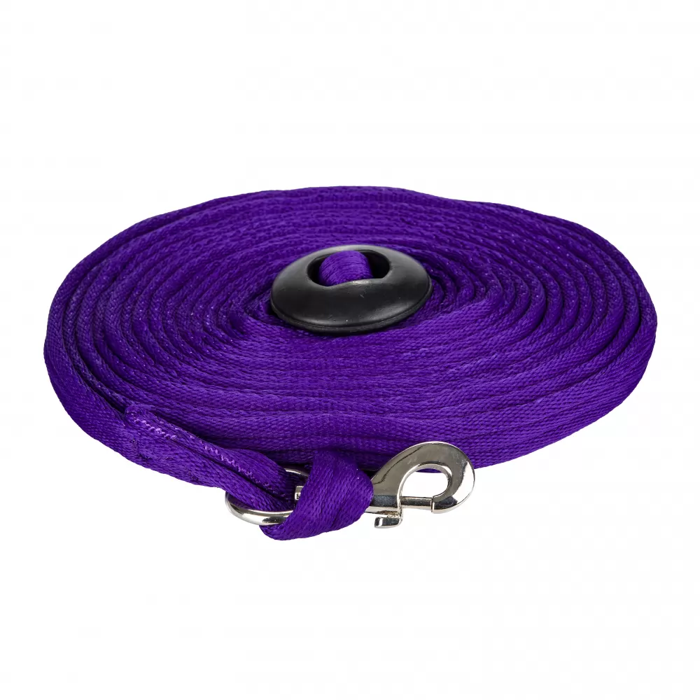 Gatsby Cushion Web Lunge Line With Loop Handle 4 Gatsby Cushion Web Lunge Line With Loop Handle - Image 2