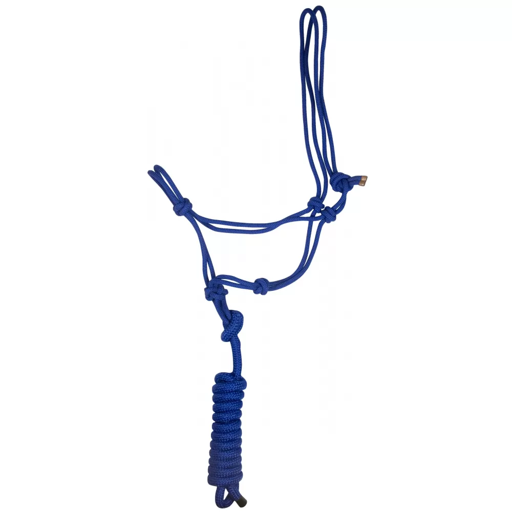 Gatsby Classic Cowboy Halter With Lead 3 Gatsby Classic Cowboy Halter With Lead