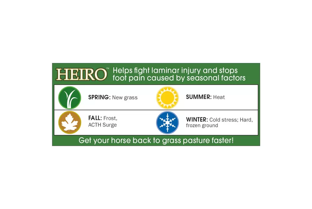 Equine Medical HEIRO For Horses - Healthy Equine Insulin Rescue Organicals 4 Equine Medical HEIRO For Horses - Healthy Equine Insulin Rescue Organicals - Image 2