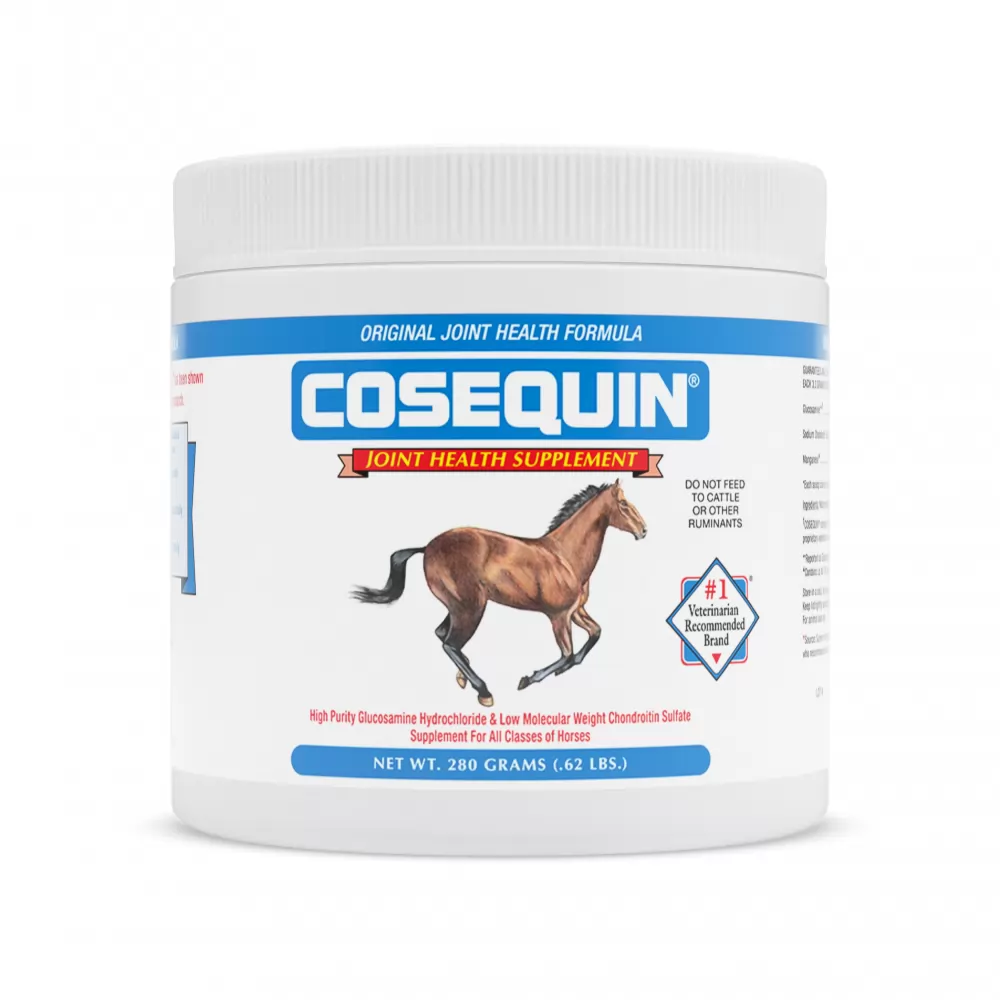 Nutramax Cosequin Original Joint Health Supplement For Horses - Powder With Glucosamine And Chondroitin 4 Nutramax Cosequin Original Joint Health Supplement For Horses - Powder With Glucosamine And Chondroitin - Image 3