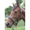 Pro-Trainer Padded Halter -Equestrian Supplies Store 5 481063