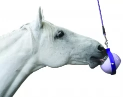 LikIt Boredom Buster -Equestrian Supplies Store 5 511064 c