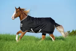 Amigo Stock Horse Medium Weight Turnout Blanket