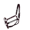 Tory Leather Oklahoma Straight Cheek Economy Show Halter -Equestrian Supplies Store 5 559850