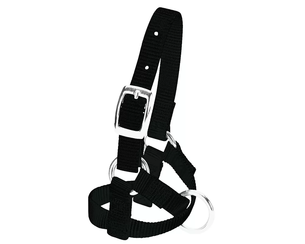 Weaver Leather Alpaca Halter 3 Weaver Leather Alpaca Halter