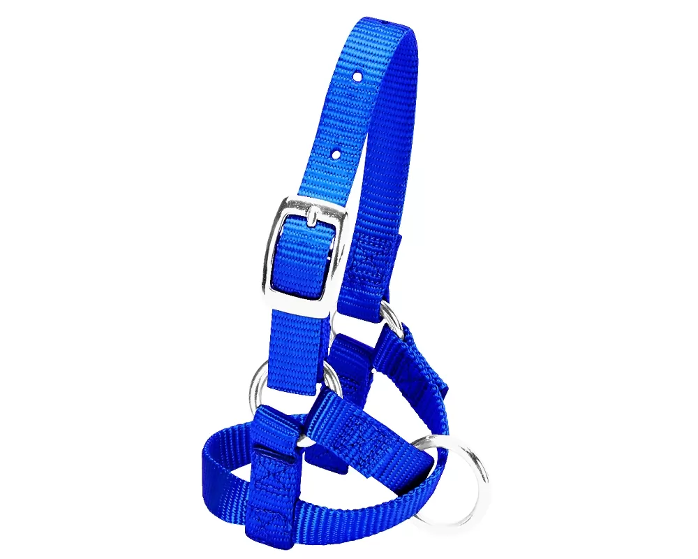 Weaver Leather Alpaca Halter 4 Weaver Leather Alpaca Halter - Image 2