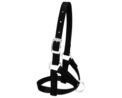 Weaver Leather Alpaca Halter 12 Weaver Leather Alpaca Halter -Equestrian Supplies Store 5 563357