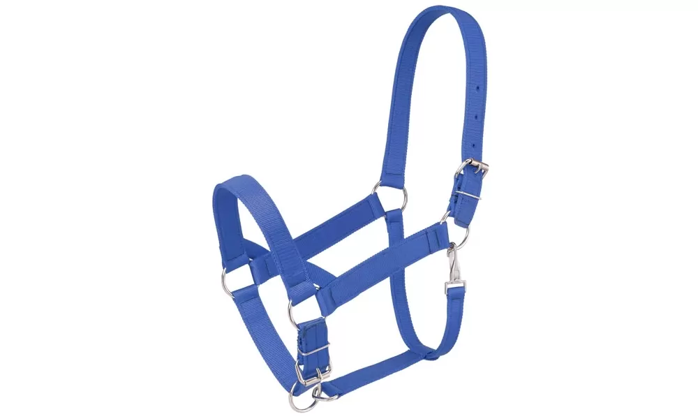 Tough-1 Heavy Nylon Draft Halter 3 Tough-1 Heavy Nylon Draft Halter