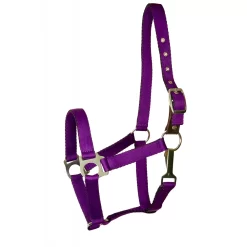 Gatsby Ultra Soft Nylon Safety Halter -Equestrian Supplies Store 5 608077
