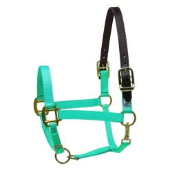 Perris Premium Nylon Safety Halter -Equestrian Supplies Store 5 611912