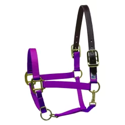 Perris Premium Nylon Safety Halter -Equestrian Supplies Store 5 611914