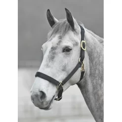 Shires Topaz Nylon Halter