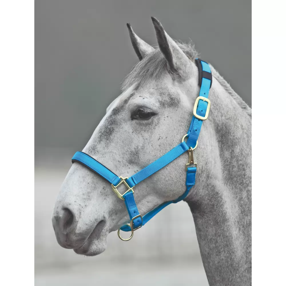 Shires Topaz Nylon Halter 14 Shires Topaz Nylon Halter - Image 12