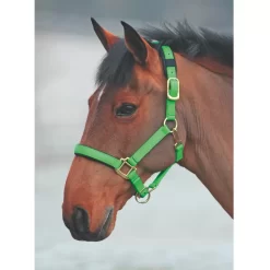 Shires Topaz Nylon Halter 34 Shires Topaz Nylon Halter -Equestrian Supplies Store 5 637249