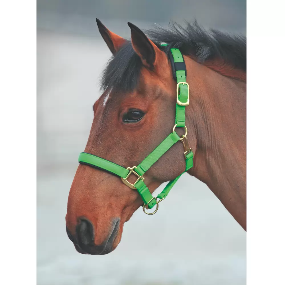 Shires Topaz Nylon Halter 15 Shires Topaz Nylon Halter - Image 13