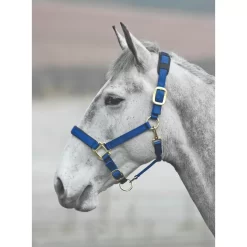Shires Topaz Nylon Halter 35 Shires Topaz Nylon Halter -Equestrian Supplies Store 5 637254