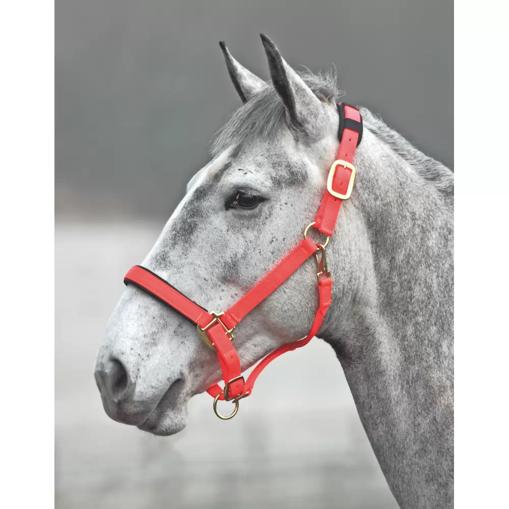 Shires Topaz Nylon Halter 17 Shires Topaz Nylon Halter - Image 15