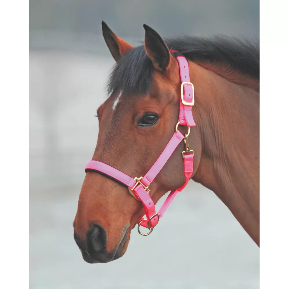 Shires Topaz Nylon Halter 18 Shires Topaz Nylon Halter - Image 16