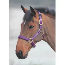 Shires Topaz Nylon Halter 38 Shires Topaz Nylon Halter -Equestrian Supplies Store 5 637269