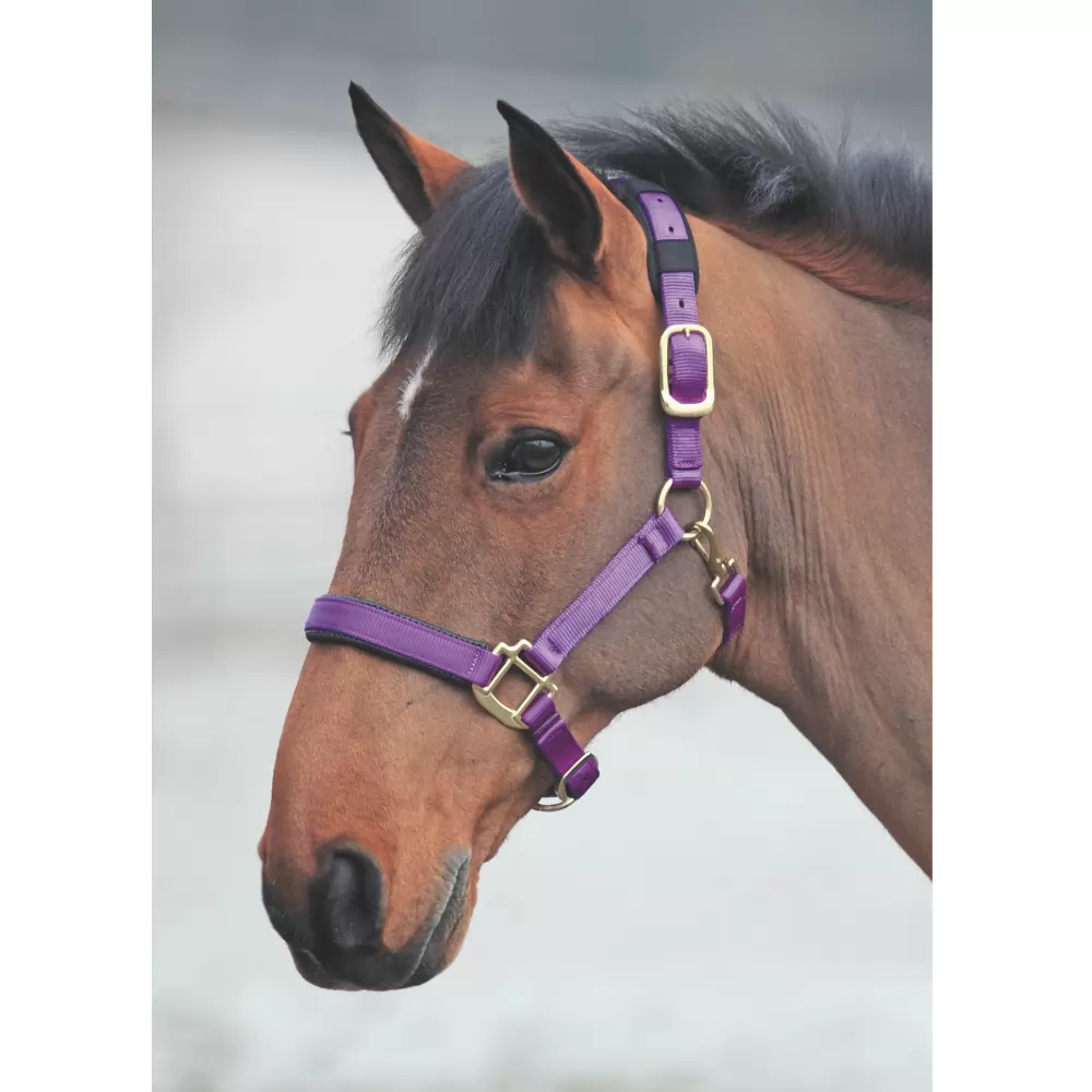 Shires Topaz Nylon Halter 19 Shires Topaz Nylon Halter - Image 17