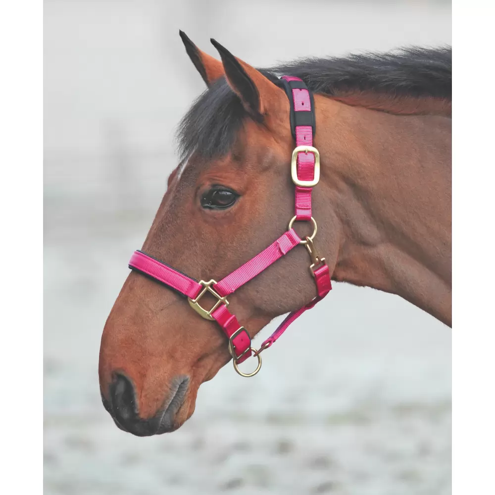 Shires Topaz Nylon Halter 20 Shires Topaz Nylon Halter - Image 18
