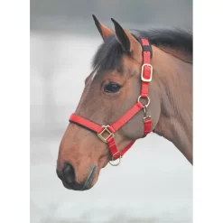 Shires Topaz Nylon Halter 40 Shires Topaz Nylon Halter -Equestrian Supplies Store 5 637279