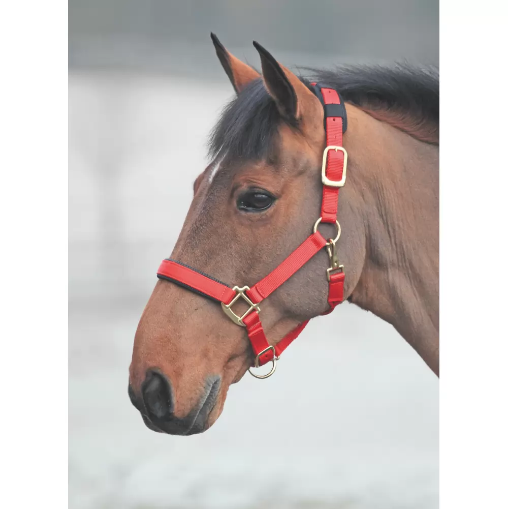 Shires Topaz Nylon Halter 21 Shires Topaz Nylon Halter - Image 19