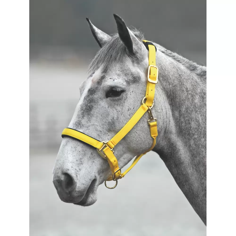 Shires Topaz Nylon Halter 22 Shires Topaz Nylon Halter - Image 20