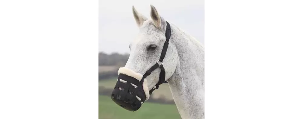 Shires Deluxe Grass Muzzle 4 Shires Deluxe Grass Muzzle - Image 2