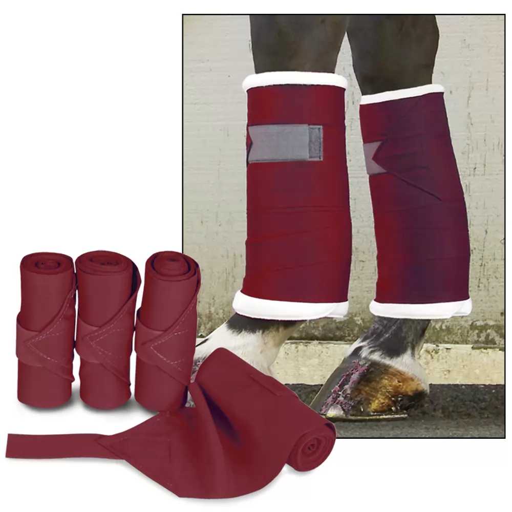 Toklat Standing Bandages 7 Toklat Standing Bandages - Image 5